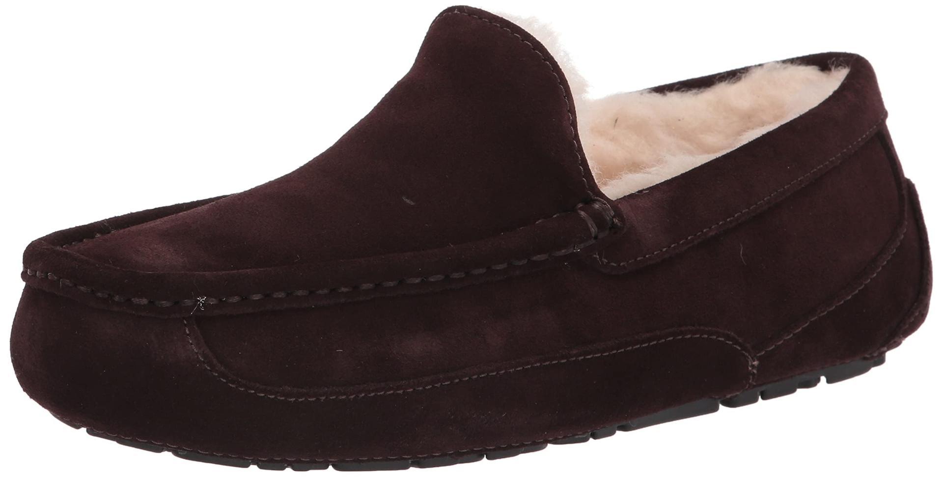 UGG Pantofole Ascot Uomo