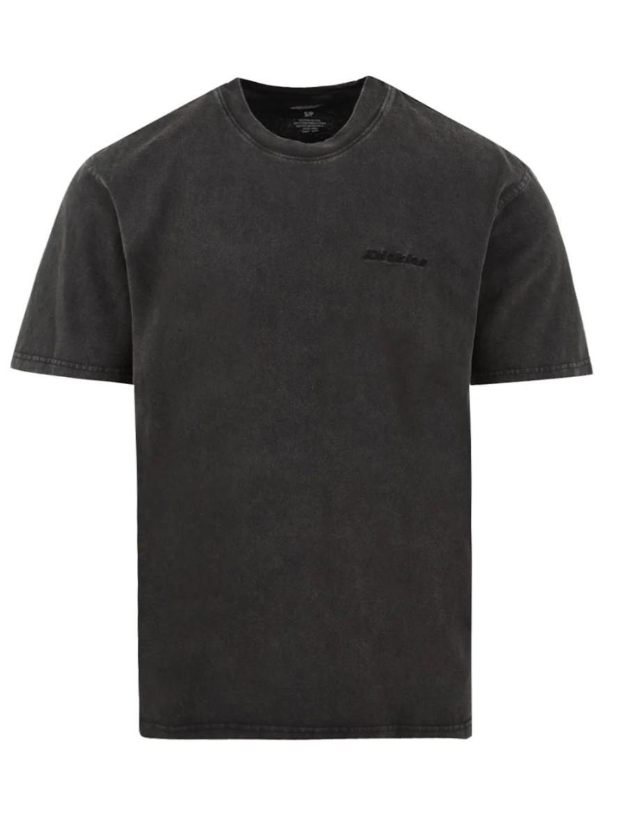 Dickies Uomo Maglietta Plentywood, Brown