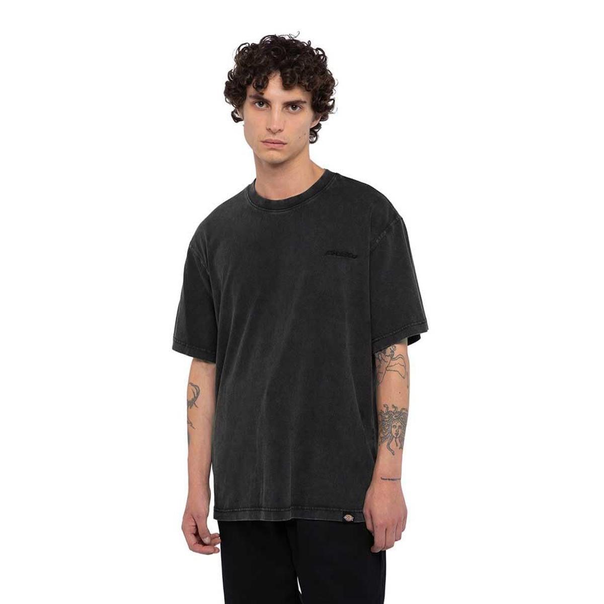 Dickies Uomo Maglietta Plentywood, Brown-Grigio