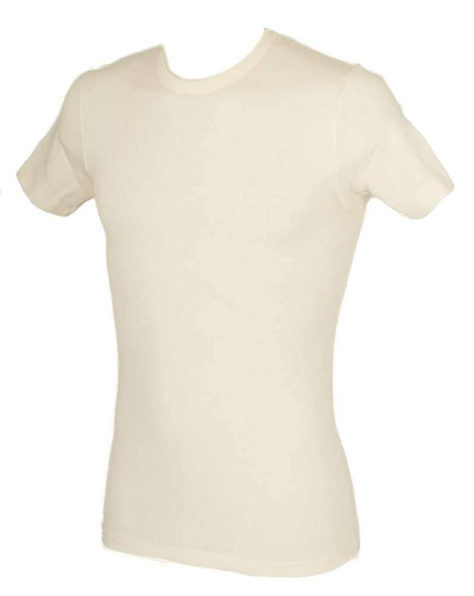 RAGNO Camiciola Canottiera Uomo Manica Corta Girocollo Wool & Silk WSK Articolo 601597 Lana e Seta