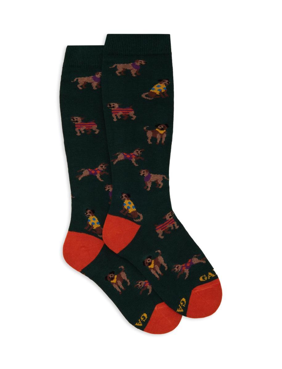 Calze lunghe bambino verde fantasia cani