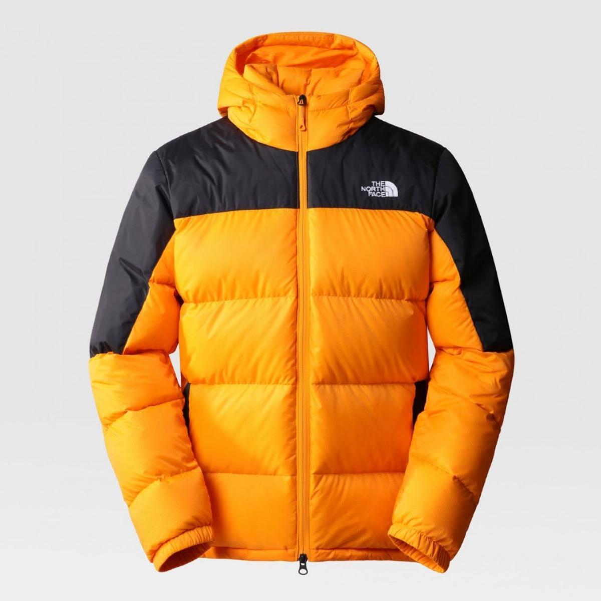 THE NORTH FACE Down
