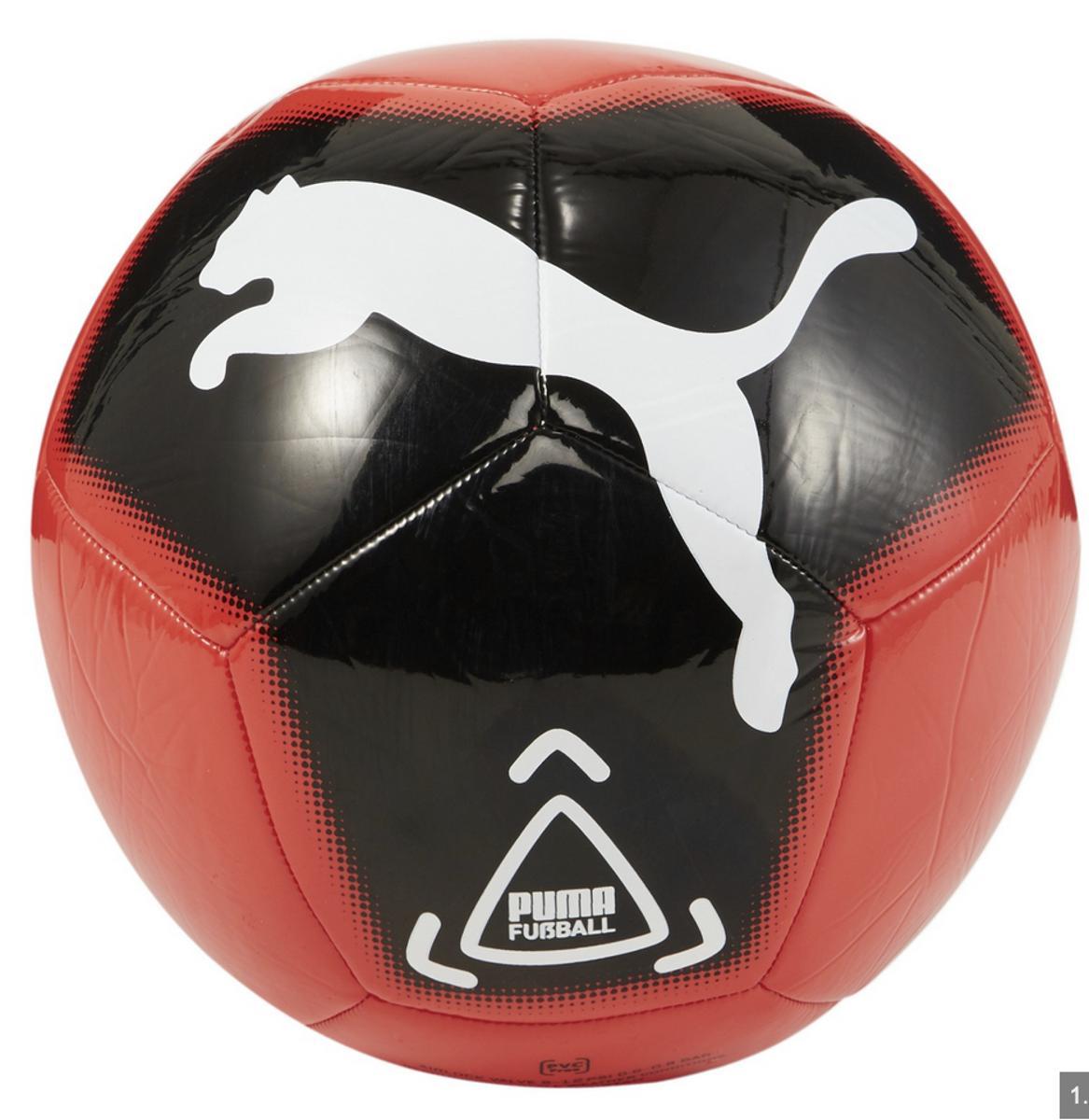 puma Big cat